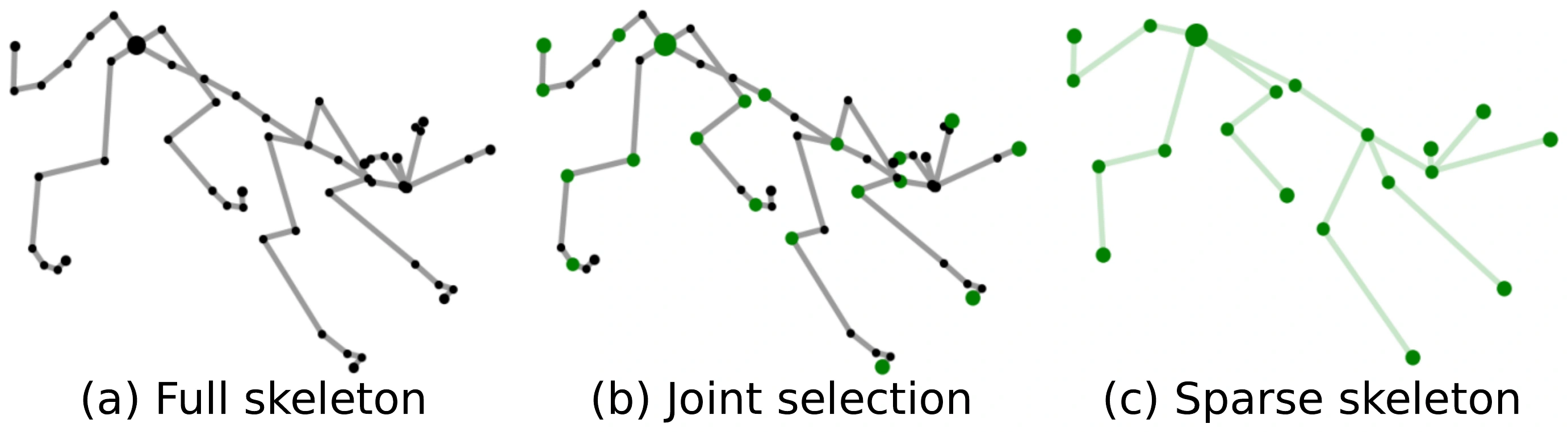 A full quadruped skeleton, representative joints selected in green, and the reconnected sparse skeleton.